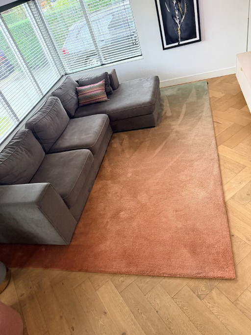 Tapis CS Rugs motif Caméléon 270 x 370 cm – 100 % laine de Nouvelle-Zélande – dégradé de couleurs 330170 – comme neuf