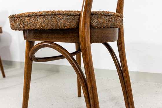 Image 1 of Satz von 6 Esszimmerstühlen Nr. 124 von H&J Kurmanowicz, Polen, 1950er Jahre