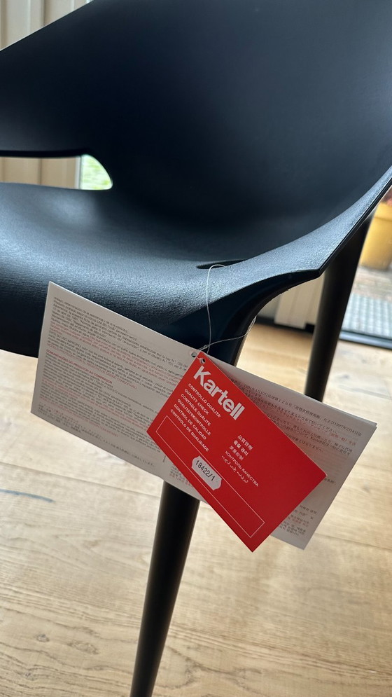 Image 1 of Dr. Yes (garden) chair - Kartell - Starck - NEW