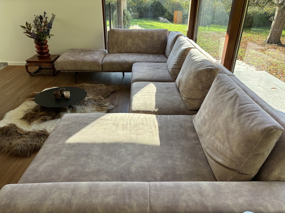 Image 1 of Loungers Everywhere Zico