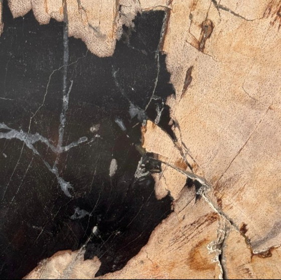 Image 1 of Madera fosilizada de Sooka, soporte hecho a medida (nuevo)
