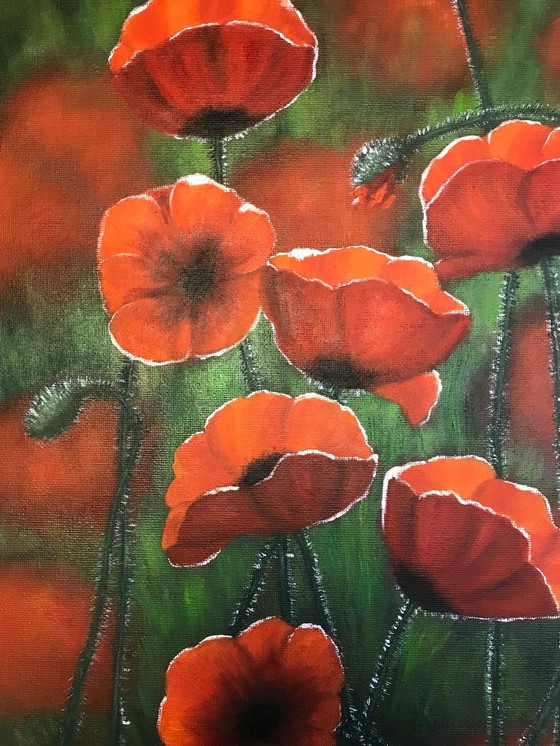 Image 1 of Pintura al óleo - Irina Gauss - Amapolas en verano