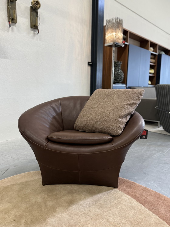 Image 1 of Label van den Berg Ace Lounge, cuero marrón.