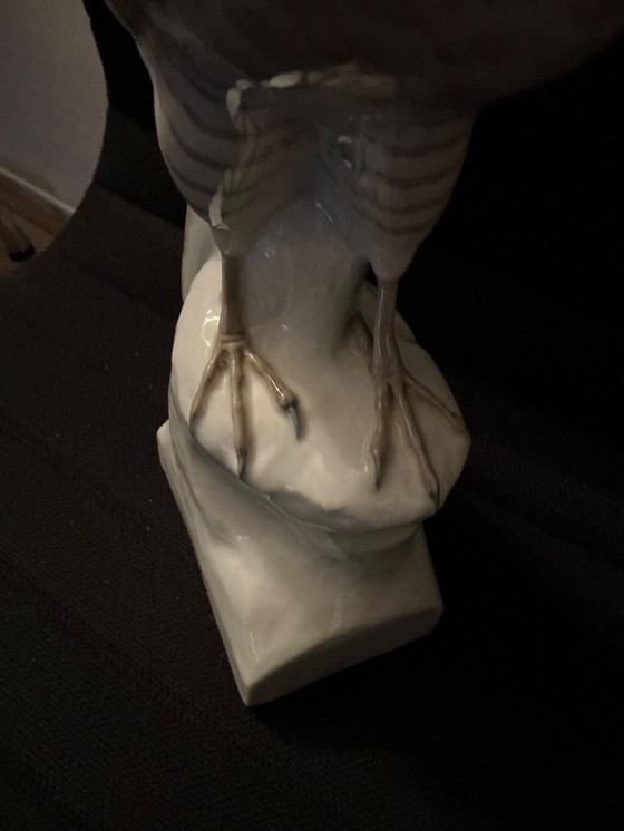 Image 1 of Very beautiful Falcon '