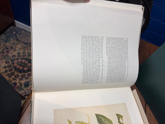 Image 1 of Maria Sibylla Merian – Leningrader Aquarelle (1974) | Limitierte Auflage, beschränkte Auflage