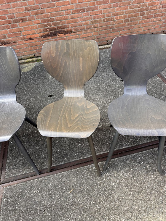 Image 1 of 6x chaises de salle à manger design Linteloo Tulipani 