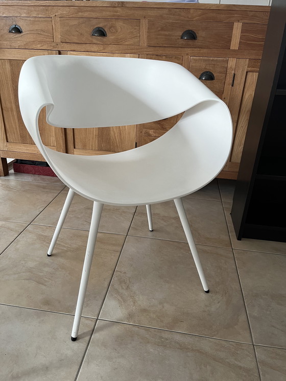 Image 1 of Züco / Zuco Little Perillo Design Stuhl 1.