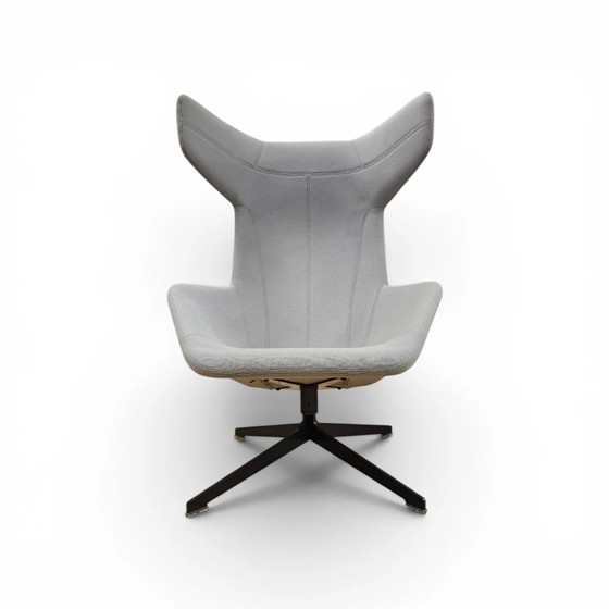 ALFREDO HÄBERLI / Fauteuils „Take a line for a walk“ / Moroso / Italie – Wool (photo 2 of 10)