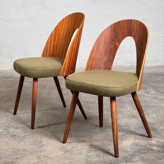 Image 1 of Juego de cuatro sillas de comedor de Antonín Šuman para Tatra Nábytok, años 60 - Totalmente reformadas