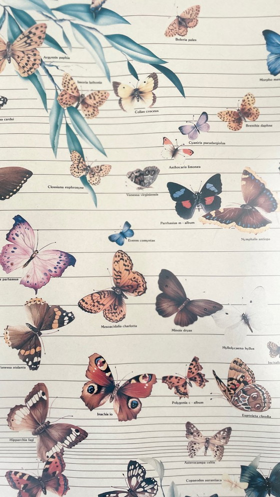 Image 1 of Poster vintage italiano con farfalle