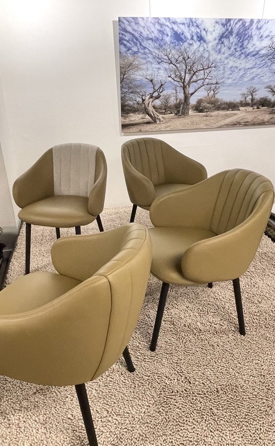 Image 1 of Sillas de comedor Leolux Baani (4)