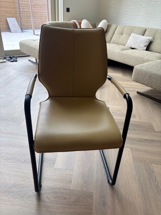 Montel Dining Chairs