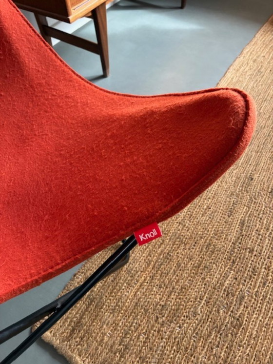 Image 1 of Fauteuil papillon Knoll / Anniversaire – Jorge Ferrari Hardoy (1938) – acier noir / feutre orange