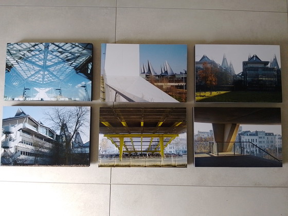 Image 1 of Photos of the Butterfly Palace Antwerp