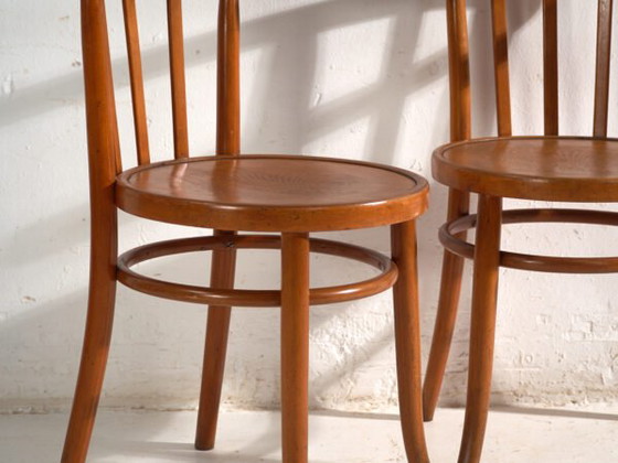 Poltrone antiche in legno curvato stile Thonet – Europa Centrale, circa 1930 #10 (photo 17 of 40)