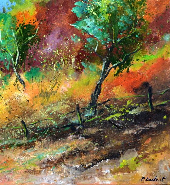 Image 1 of Couleurs d'automne