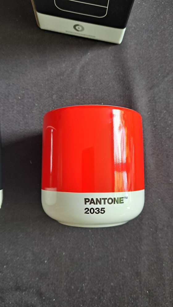 Image 1 of Tazze a doppia parete NUOVA Scandinavia