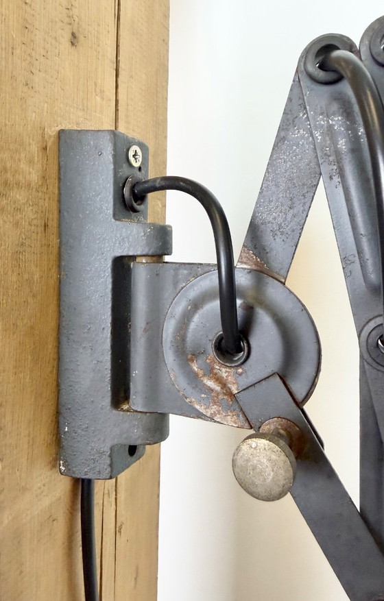 Image 1 of Grijze industriële wandlamp met flexibele arm van Elektroinstala, jaren 60.