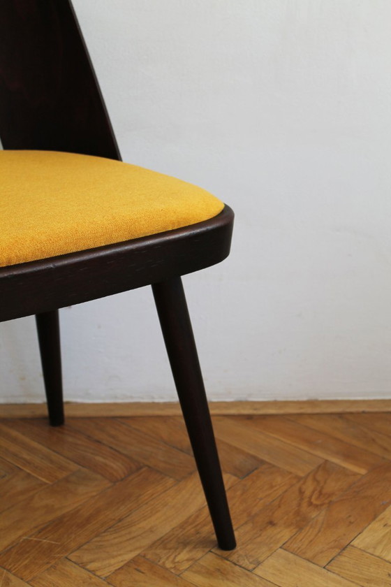 Image 1 of Set van vier eetkamerstoelen van Oswald Haerdtl