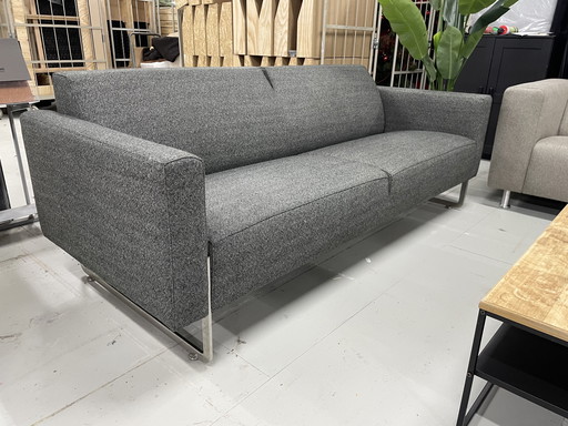 Artifort Sofa Mare