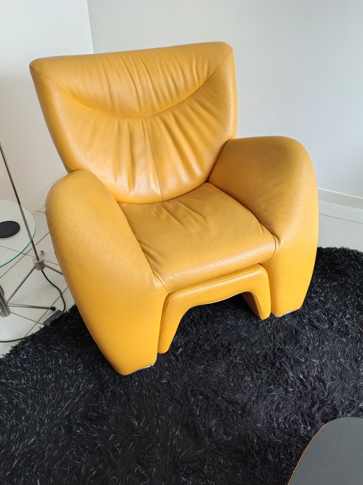 Leolux Echnaton – fauteuils, Leather