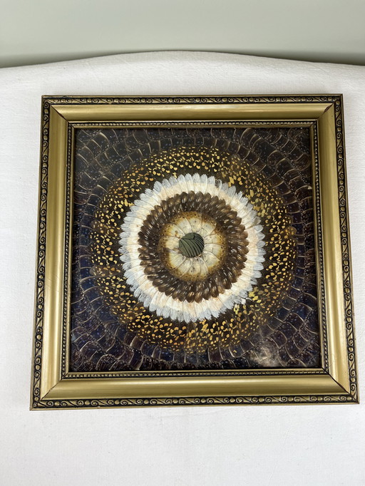 Tableau aile de papillons