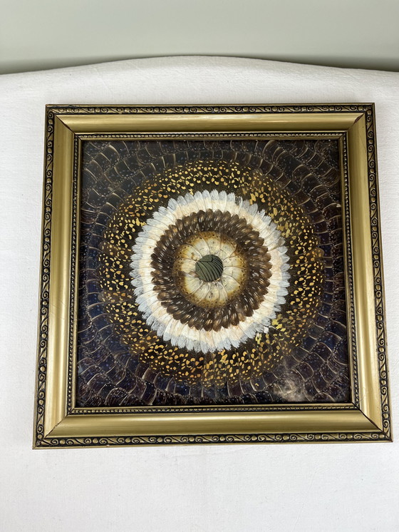 Image 1 of Tableau aile de papillons