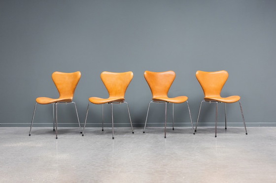 Image 1 of Sedia "farfalla" Serie 7, set da 6