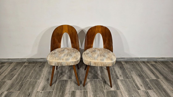 Image 1 of Paar esstischstühle von Antonin Suman