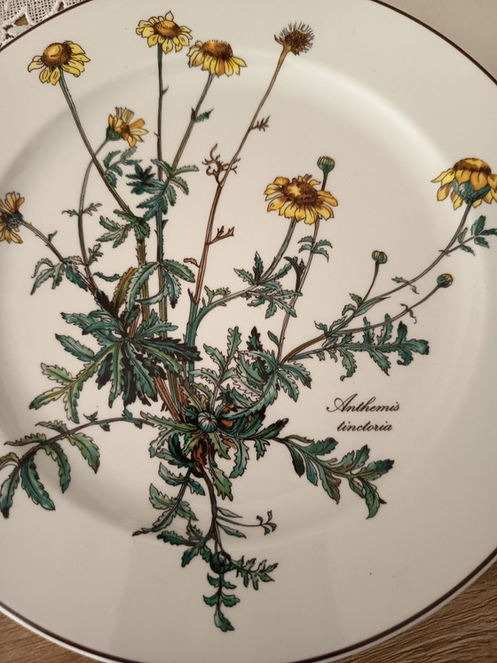 Villeroy und Boch Botanica Teller – Geschirr, Porcelain (photo 4 of 6)