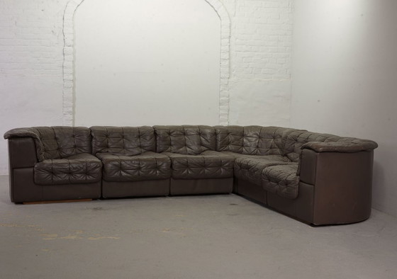 Image 1 of Excellent Mid-Century De Sede DS11 Patched Seal Brown Leather Modular Sofa, 6 Elements. Germany, 1970s.