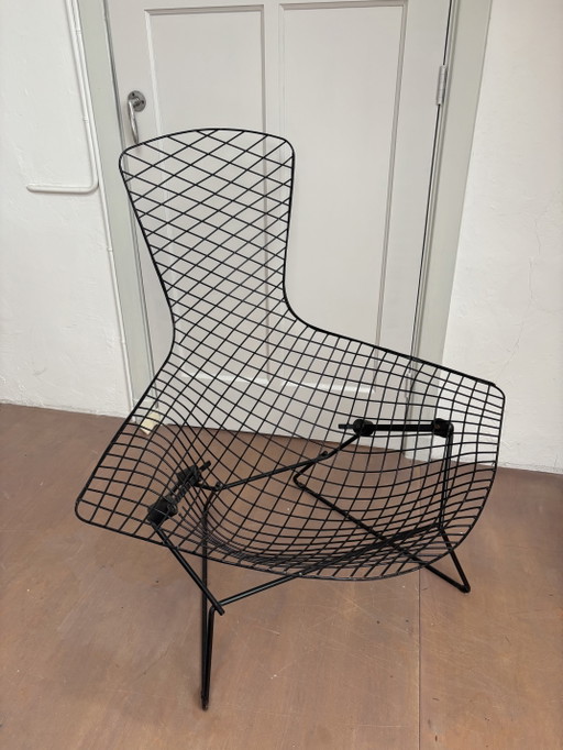 Bertoia Bird Stoel – Knoll, stoelen fauteuils, Metal