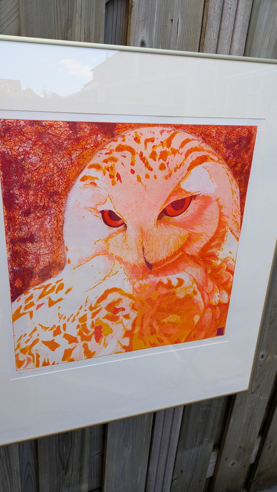 Image 1 of Large Coloring Set Snowy Owl Toni de Klerk