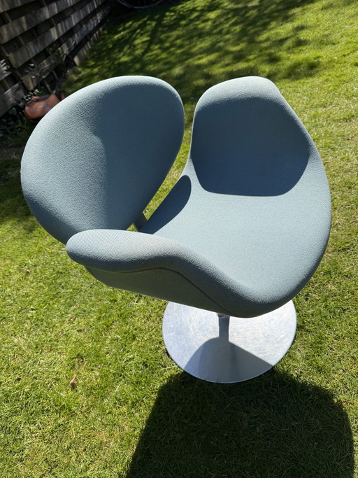 Little tulip Artifort (grey)