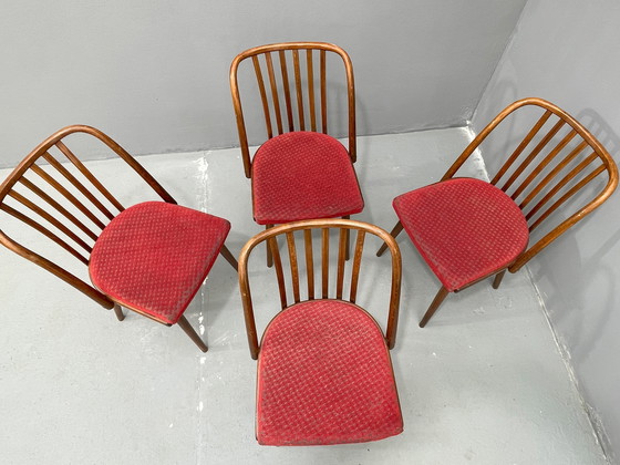 Image 1 of Antonín Šuman – Set of Chairs from the 1960s, Czechoslovakia