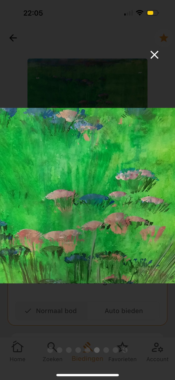 Image 1 of Maya Wildevuur - aquarelle - 91x110 cm - Champ de fleurs