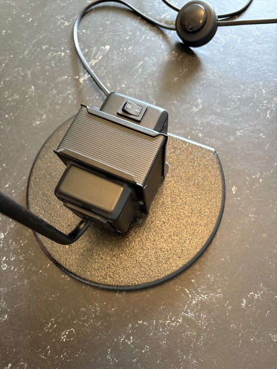 Image 1 of Lumina Daphine Terra Classic Black