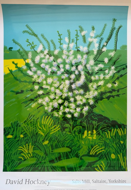 David Hockney (1937-2026), De komst van de lente in Woldgate, East Yorkshire in 2011. Copyright David Hockney, gedrukt in