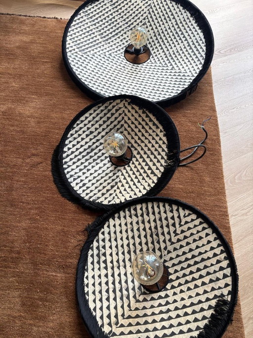 The Wild World 3-piece set