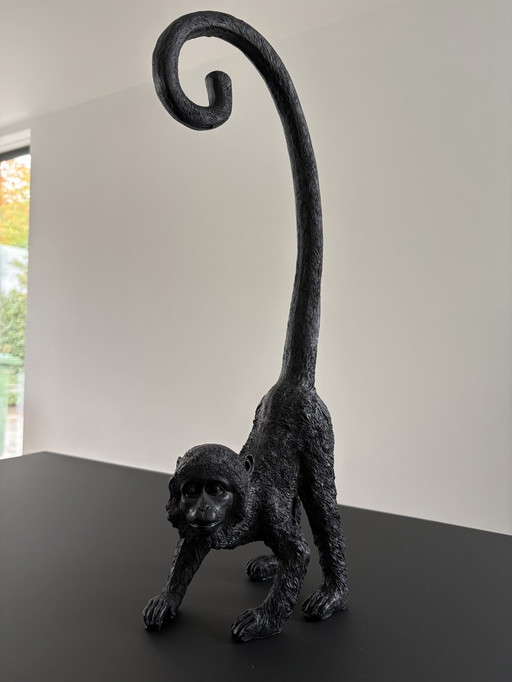 Des histoires de singe !