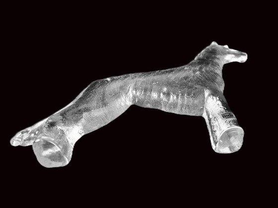 Kosta Boda - Large Dog From Bertil Vallien - 60s – Glass art, Glass (photo 3 of 5)