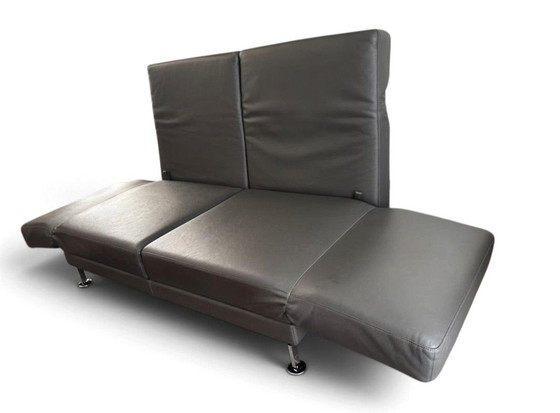 Brühl Moule divano designer medio, divano, letto, ottime condizioni, Divani letto, Pelle, Metallo, Grigio (foto 3 di 5)