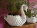 Ensemble de 2 magnifiques pots de fleurs en porcelaine blanche de style Mid-Century, en forme de cygne, de 2 tailles différentes