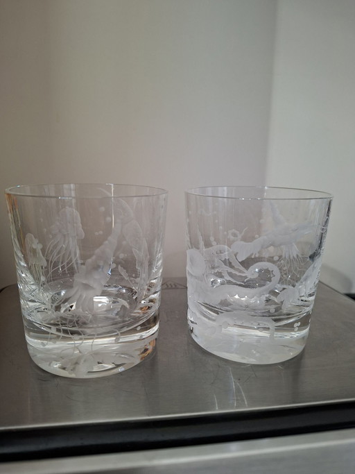 Artel handgraviertes Glas, Frutti de Mare Linie, von Karen Feldman, sehr exklusiv