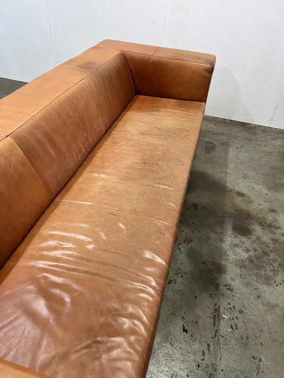 Image 1 of Sofá XL, Montis Malou, Tapizado en Cuero, Coñac