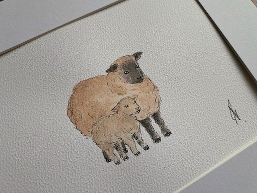 Watercolor painting of sheep | Original in frame