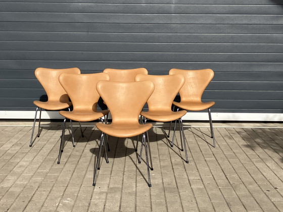 Image 1 of Sedie Butterfly serie 7 di Fritz Hansen in pelle Camel NUOVE!!