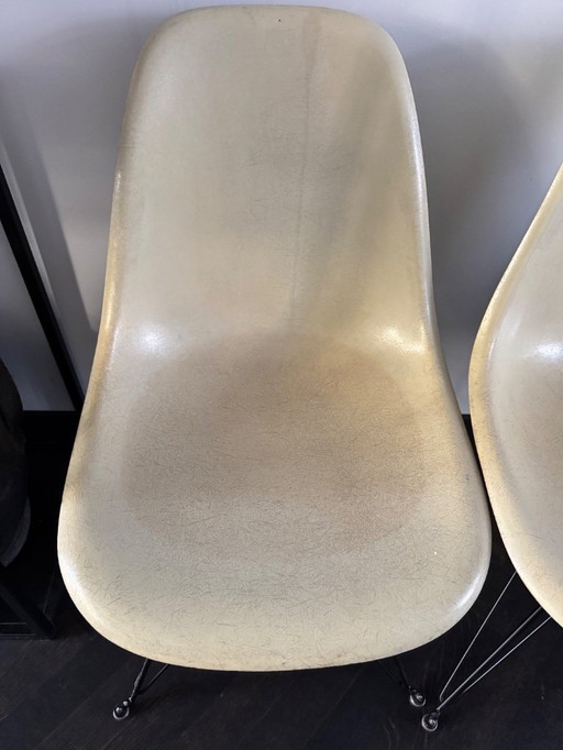 Chaise de salle à manger Herman Miller en fibre de verre DSR