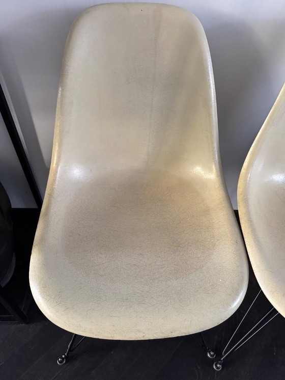 Image 1 of Herman Miller Fiberglas-Esszimmerstuhl DSR