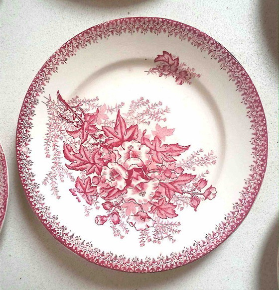 Image 1 of Set of 8 Terre de Fer plates, Eglantines pattern, late 18th century, 22.5 cm diameter